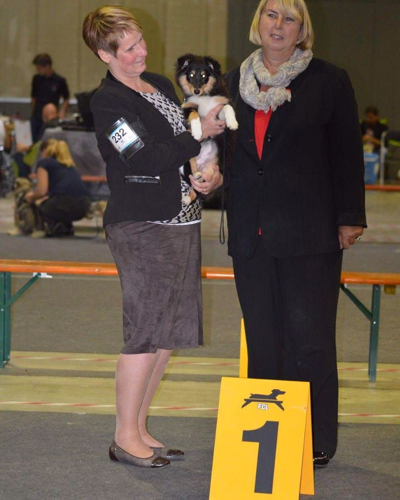 Of Pretty Countess - International dog show Luxembourg 02.09.2017
