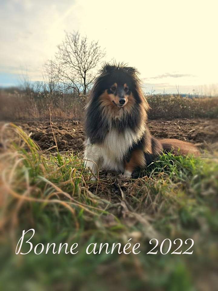 Of Pretty Countess - Bonne année 2022!