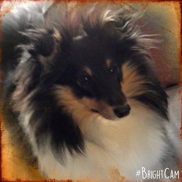 Of Pretty Countess - Jolie Jade