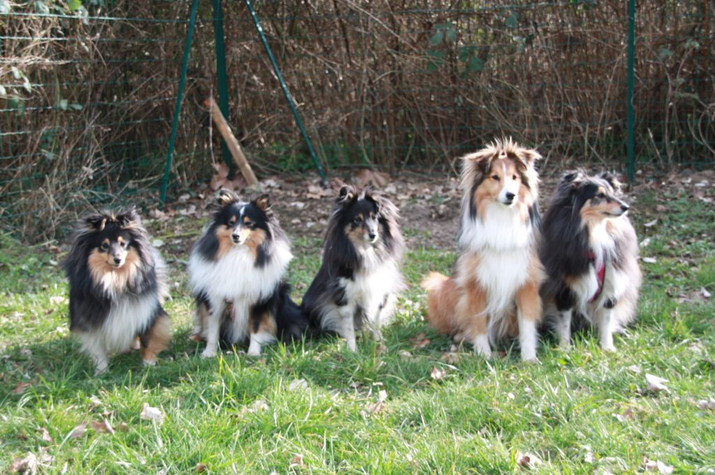 Of Pretty Countess - Un rassemblement de Countess pour l' interclub du Haut Rhin.