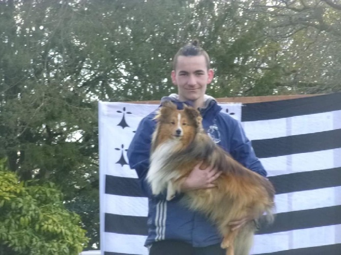 Of Pretty Countess - Hendy sélectionné pour les finales Agility 2016!